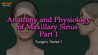 Anatomy and Physiology of Maxillary Sinus Part 1