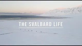 The Svalbard life