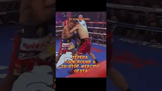 ZEPEDA VS GESTA FULLFIGHT HIGHLIGHTS #boxing #viralshort