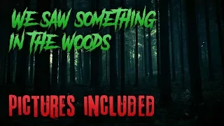 "We Saw Something In The Woods" by Worchester_St [NoSleep] *WITH PHOTOS*