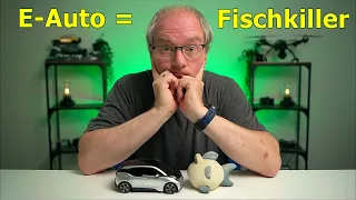 Kraftwerke, Fische und E-Autos, wie paßt das zusammen?