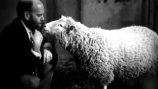 Phóng Sự Quốc Tế: Chú cừu Dolly