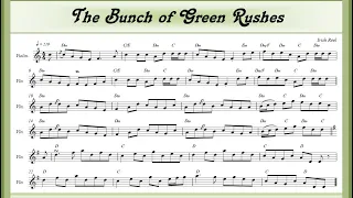 The Bunch of Green Rushes