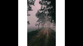 ভেবে গেছি আমি রাত কি ভোর পাঠাবেন ভগবান ! Morning video ✨❤️