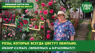 МАМА ЛЮБИТ ЭТИ РОЗЫ. СИЛЬНЫЕ СОРТА РОЗ. РОЗЫ, КОТОРЫЕ ВСЕГДА ЦВЕТУТ ОБИЛЬНО. ОБЗОР САМЫХ ЛЮБИМЫХ.