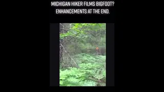 Michigan hiker films BIGFOOT!!
