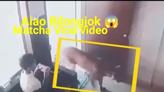 Aiao Bilongjok Matcha Viral video
