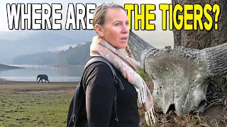 WHERE are the TIGERS in PERIYAR TIGER RESERVE? | Foreigners First Time in KERALA, INDIA 🇮🇳