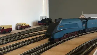 Streaks of Many Colours.  OO Model Railway