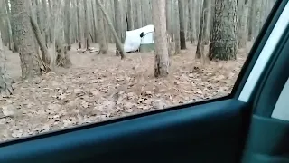 another abandoned campsite in uwharrie @Tarheel Bigfoot