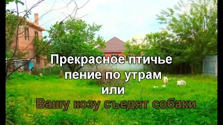 Жизнь в Краснодаре: плюсы и минусы СНТ / На что обратить внимание при выборе жилья