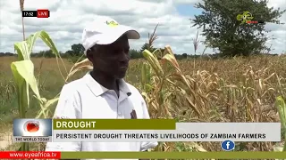 PERSISTENT DROUGHT THREATENS LIVELIHOODS OF ZAMBIAN FARMERS