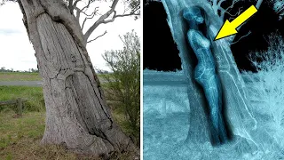 9 Strange Things Found in Unexpected Places