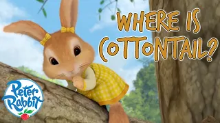 @OfficialPeterRabbit  - Where Has Cottontail Gone?! 👀 🐰 | Lost And Found | Compilation | Cartoons for Kids