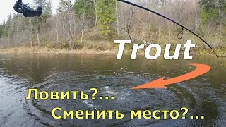 Спиннинг на реке. Рыбы в крапинку. Trout ...