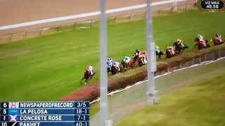 Breeders cup 2018-Juvenile Fillies Turf-Newspaper of Record