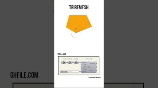 TriRemesh #shorts