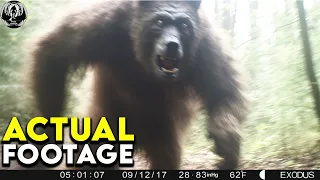 HUGE PREDATOR CAPTURED ON HIDDEN TRAIL CAM