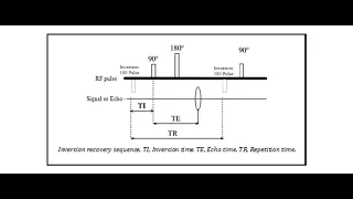 Inversion Recovery Sequence Unexplained