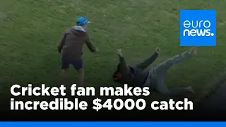 Cricket fan makes incredible $4000 catch