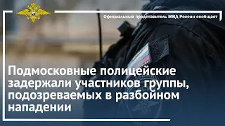Ирина Волк:Подмосковные полицейские задержали участников группы, подозреваемых в разбойном нападении