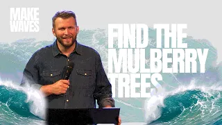 Find the Mulberry Trees | Eric Gilbert
