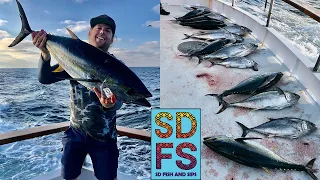 San Diego Bluefin Tuna & Yellowfin Tuna Fishing on Mission Belle Point Loma Sportfishing SDFS