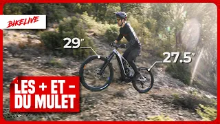 Quels sont les avantages et les inconvénients d'un montage mulet sur un VTT ?