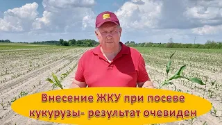 Внесение жидких комплексных удобрений при посеве кукурузы - результат очевиден.