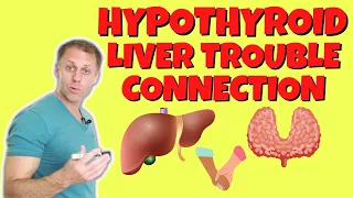 Hypothyroid's Connection to Liver Issues