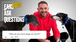 Tom Hardy Plays With Rescue Dogs | FAQs | @LADbible