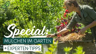👩‍🌾 Die besten Tipps rund ums Mulchen - Wasser & Zeit sparen! 💦 ▶️ Mit Naturgärtnerin Angelika Ertl