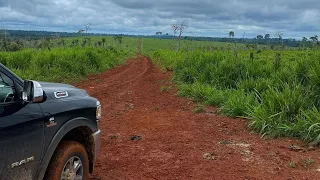 FAZENDA 2MIL ALQUEIRES À VENDA EM NOVO PROGUESSO-PA