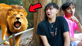 EXTREME HIDE AND SEEK IN A ZOO!