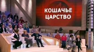 Пусть говорят. "Кошачье царство" (04.04.2012) программа