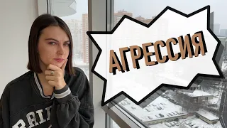 Агрессия у собаки