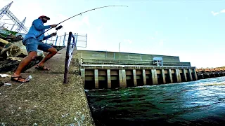 HUGE FISH Tried To Pull Me in the RIVER...But We Got Him!!!  -- CATCH and COOK Spillway Monsters!