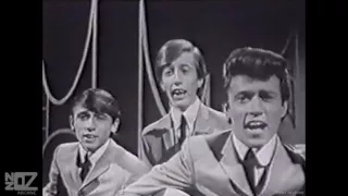 The Bee Gees - Wine & Women (1965)