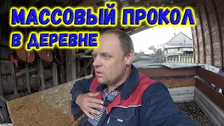 МАССОВЫЙ ПРОКОЛ  В ДЕРЕВНЕ / маленькая просьба / ВАРИМ КАРТОШКУ ДЛЯ..? / деревенские будни