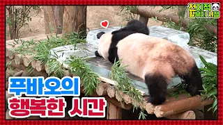 (SUB) Fubao&Lebao's Super Giant Ice Party🐼│ Panda World
