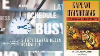 Kaplanı Uyandırmak - Peter A. Levine ve Ann Frederick - Şifacı Olarak Beden Bölüm 5-9 | Sesli Kitap