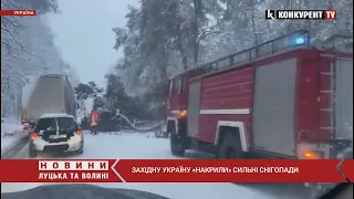 Повалені дерева та метрові замети снігу ❄️ захід України «накрили» сильні снігопади