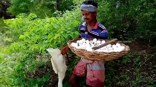 River Place Duck and Cook 100 Duck Eggs Eating Delicious In Village Hunter