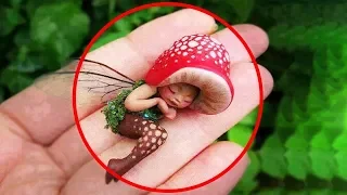 TOP 5 The most unusual cases in real life | Little Fairies exist!