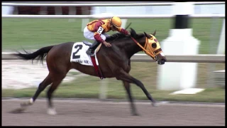 Gulfstream Park Replay Show | February 18, 2017