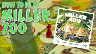 Miller Zoo | How To Play | Learn To Play in 6 Minutes!