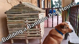 Building a Bamboo Dog House 竹の犬小屋