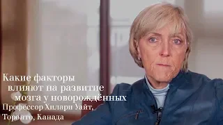 Какие факторы влияют на развитие мозга у новорождённых