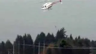 Helicopter Slinging Christmas Trees