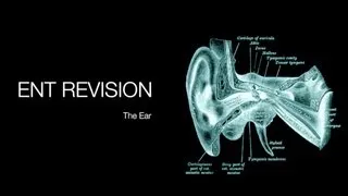 ENT Revision - The Ear